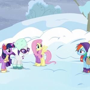 Meet your Posher, Jared christian